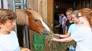 Die Fünftklässler der Waldschule lernen auf dem Pferdehof Schanz in Nellingen, wie die Tiere artgerecht gehalten werden. Foto: Caroline Holowiecki