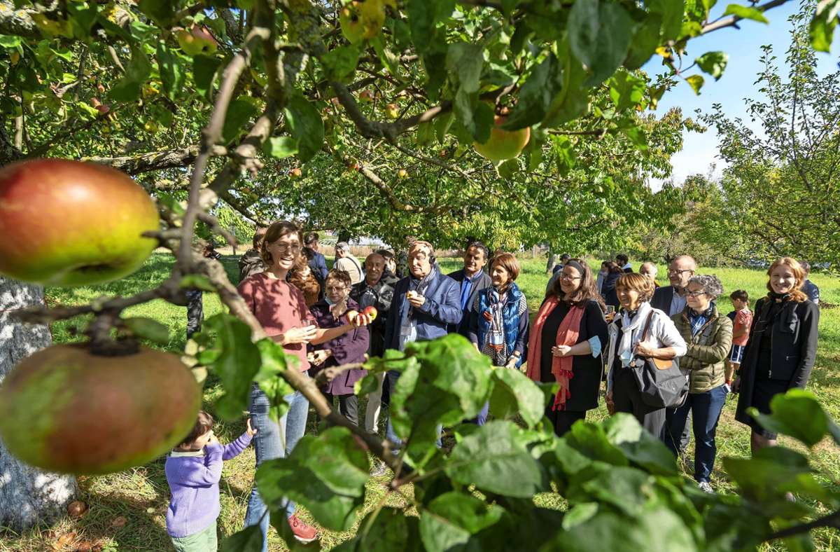 Die Teilnehmerinnen und Teilnehmer  der Tagung treffen sich mit den „Obstlern“ auf den Streuobstwiesen am Ende der Kornwestheimer Straße in Ludwigsburg. Foto: Jürgen Bach
