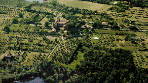 Luftbild vom Calcione-Gebiet im Südosten der Toskana: In der Mitte das Schloss und der Lago di Calcione, dem Wasserspeicher für die Landwirtschaft. Foto: Olivella Pianetti