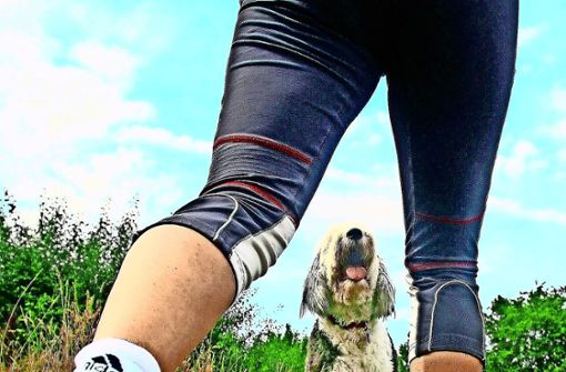 Jogger begegnen ungern Hunden, die nicht angeleint sind. Foto: Archiv (avanti)