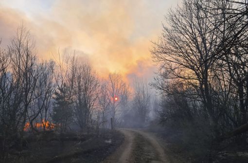 In den vergangenen Jahren kam es mehrfach zu Feuern in den unbesiedelten Gebieten der Zone. Foto: dpa/Yaroslav Yemelianenko