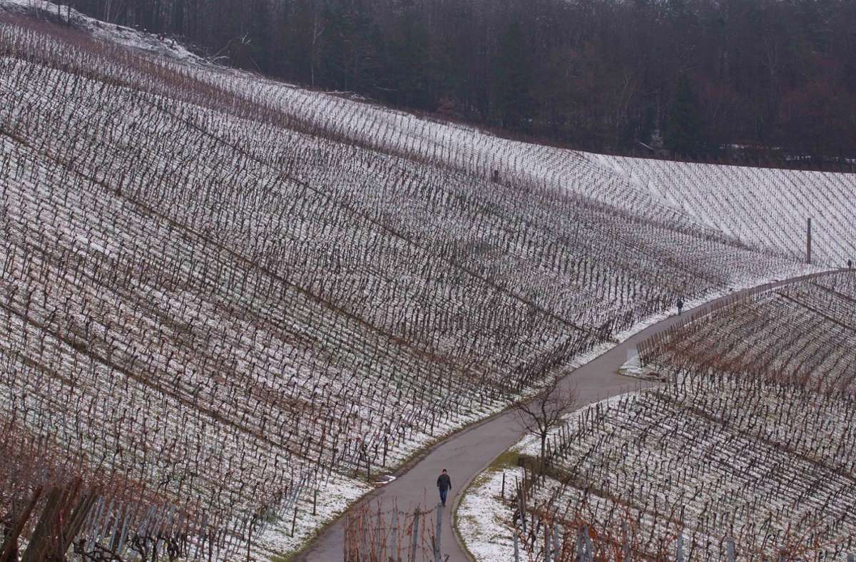 Es ist nicht viel, aber besser als gar nichts: Ein bisschen Schnee liegt auf dem Rotenberg.