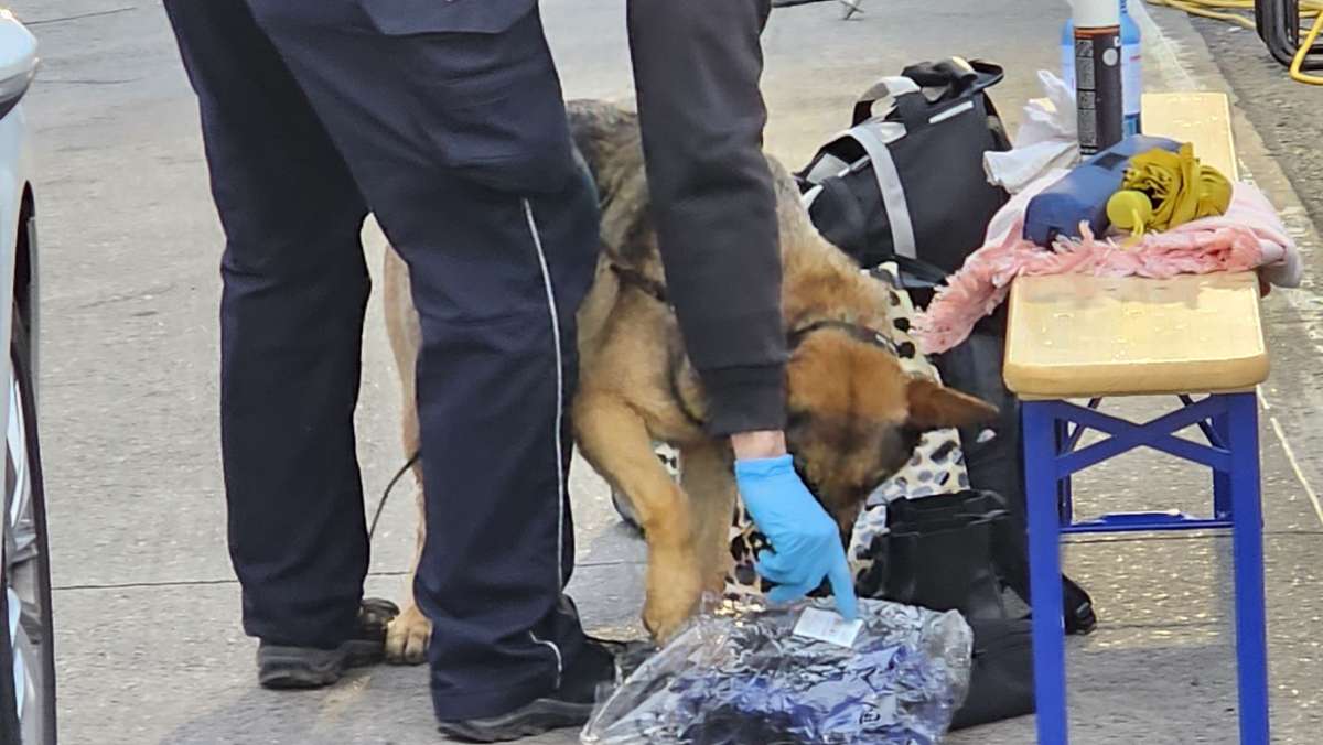 Raststätte bei Hockenheim: Spürhund findet Drogen in Reisebus - drei Festnahmen