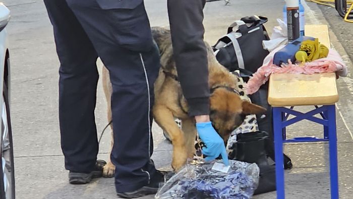 Spürhund findet Drogen in Reisebus - drei Festnahmen