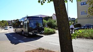 Die Busse von Schlienz-Tours werden ab August auch durch Schmiden und Oeffingen nach Remseck verkehren. Foto: Archiv (Patricia Sigerist)