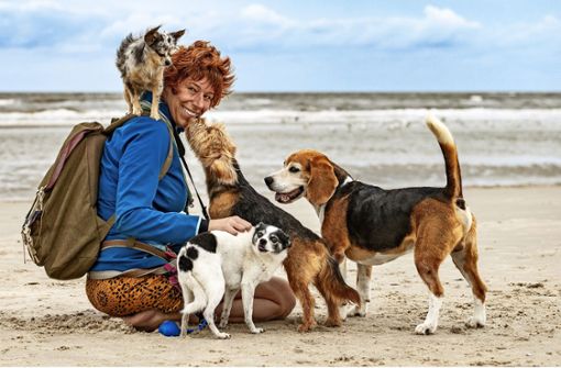 Die Hunde von Sophie Strodtbeck – Rüden und Hündinnen – stammen zum Teil aus dem Tierschutz und leben ohne Kastration problemlos zusammen. Foto: Annett Mirsberger