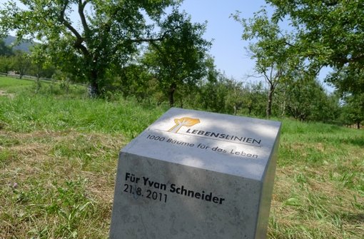Der Platz, an dem Yvan Schneider starb, ist zu einer Gedenkstätte geworden. Foto: Sigerist