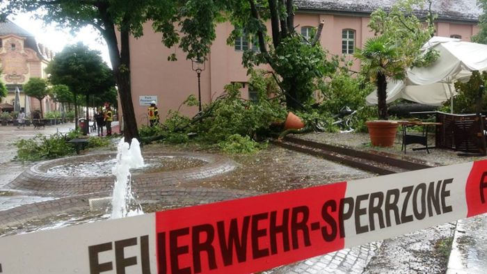 Baum fällt bei Gewitter um – vier Verletzte