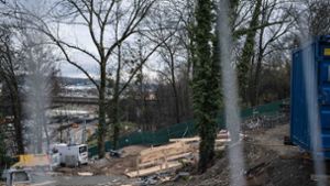 Die Bäume und Sträucher am Neckarhang sollen für Stuttgart 21 weichen, denn hier kommen zwei Tunnel ans Tageslicht. Foto: Lichtgut/Max Kovalenko