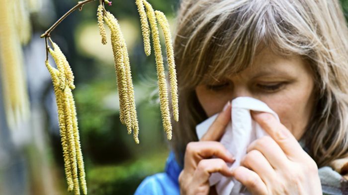 Diese Tipps sollten Allergiker beachten