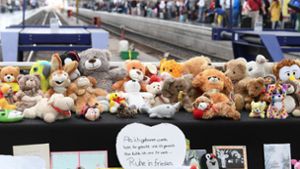 Verdächtiger vom Frankfurter Hauptbahnhof kommt in Psychiatrie