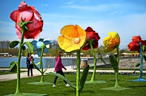 Frisches Rollrasengrün und große Blumen: Am Eröffnungswochenende flanieren Besucher über das Gartenschaugelände. Foto: dpa