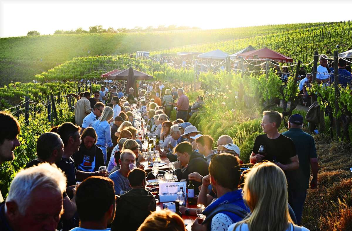 Weingenuss unter verwöhnender Sonne: Das Käsbergfest 2023