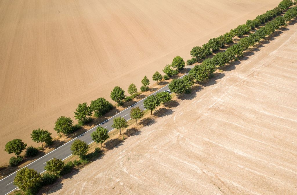 Trockenheit in Deutschland: Beim Klimawandel ist die Landwirtschaft ein Teil des Problems. Sie könnte aber auch Teil der Lösung sein. Foto: dpa