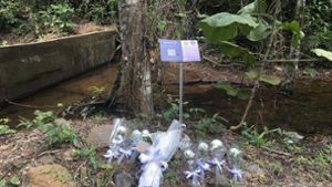 Mord an Schweizerin auf thailändischer Insel – Tatverdächtiger gefasst