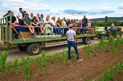 Der Mais wächst, aber er leidet noch, das erfuhren rund 40 Teilnehmer bei der Gerlinger Felderrundfahrt. Foto: Jürgen Bach