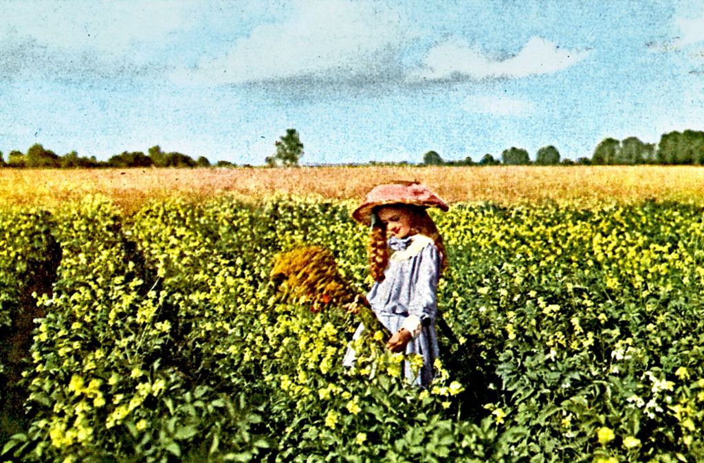 Das Mädchen in der Blumenwiese hat Hans Hildenbrand, ein deutscher  Pionier der Farbfotografie, um 1910 fotografiert.