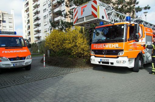 Die Feuerwehr konnte die Taube aus ihrer misslichen Lage befreien Foto: SDMG//Dettenmeyer