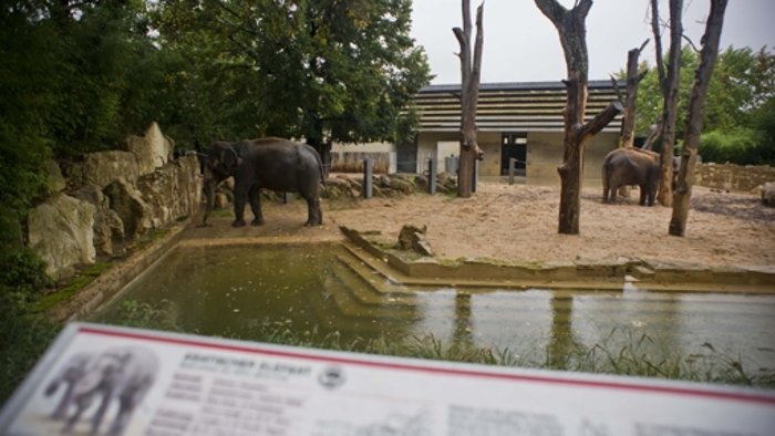 Land im Verzug mit Planung fürs Elefantenhaus