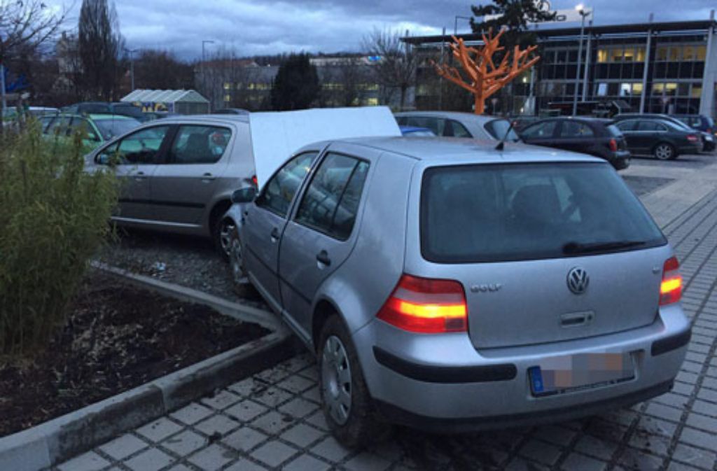 Pflanzen-Kölle in Stuttgart-Zuffenhausen: Mit Auto über ...