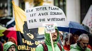 Schilderproteste bei Fridays for Future in Stuttgart Foto: 7aktuell/Marc Gruber