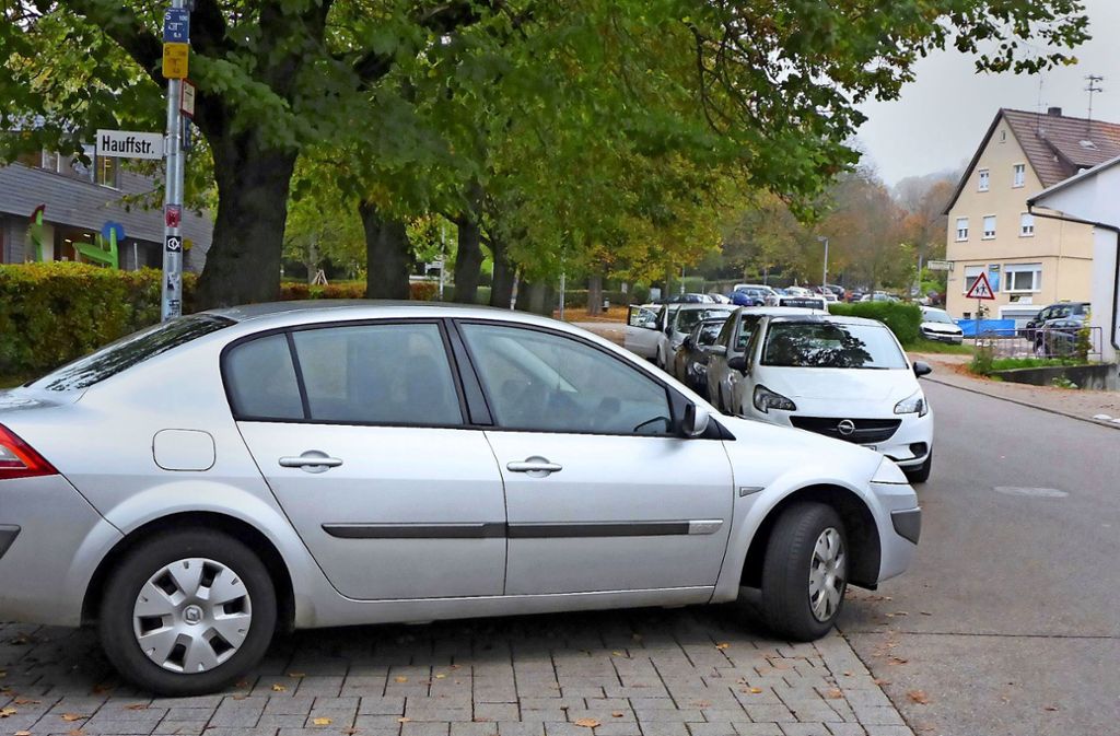 Doppelt falsch geparkt: Darauf muss hingewiesen werden. Foto: Stadt Herrenberg
