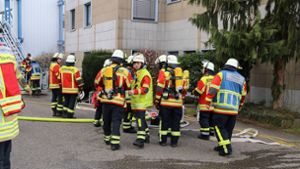 Die Feuerwehr war mit 47 Mann am Einsatzort. Foto: 7aktuell.de/ Hessenauer