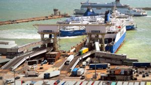 Der Hafen von Dover ist das Nadelöhr für den Warenverkehr zwischen dem EU-Festland und Großbritannien. Foto: dpa