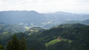 Schöne Ausblicke im Nationalpark Schwarzwald Foto: dpa