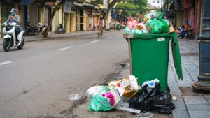 Mülltonne voll: Kann man den Müll daneben stellen?