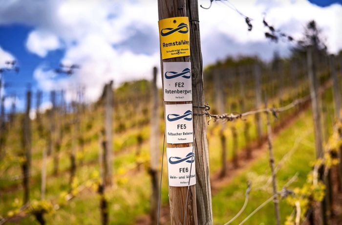 Weinbau im Remstal: Spritz-Verbot durch die Hintertür?
