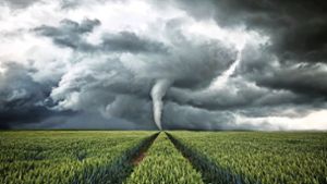 Wie das Wetter wird, war und ist für Bauern wichtig. Ihre Beobachtungen über lange Zeit sind zu Bauernregeln geworden. Foto: Stock Adobe/Oliver Henze