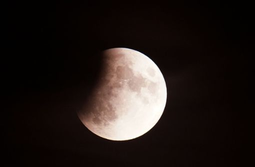 Auch in der Region wie hier in Stuttgart-Neugereut ließ sich der Mond im Kernschatten der Erde beobachten. Foto: Andreas Rosar Fotoagentur-Stuttg