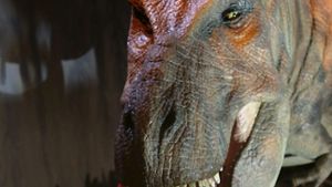 Nachbildung eines Tyrannosaurus Rex im  Natural History - mehr Bilder aus der Saurierwelt in unserer Fotogalerie. Foto: dpa