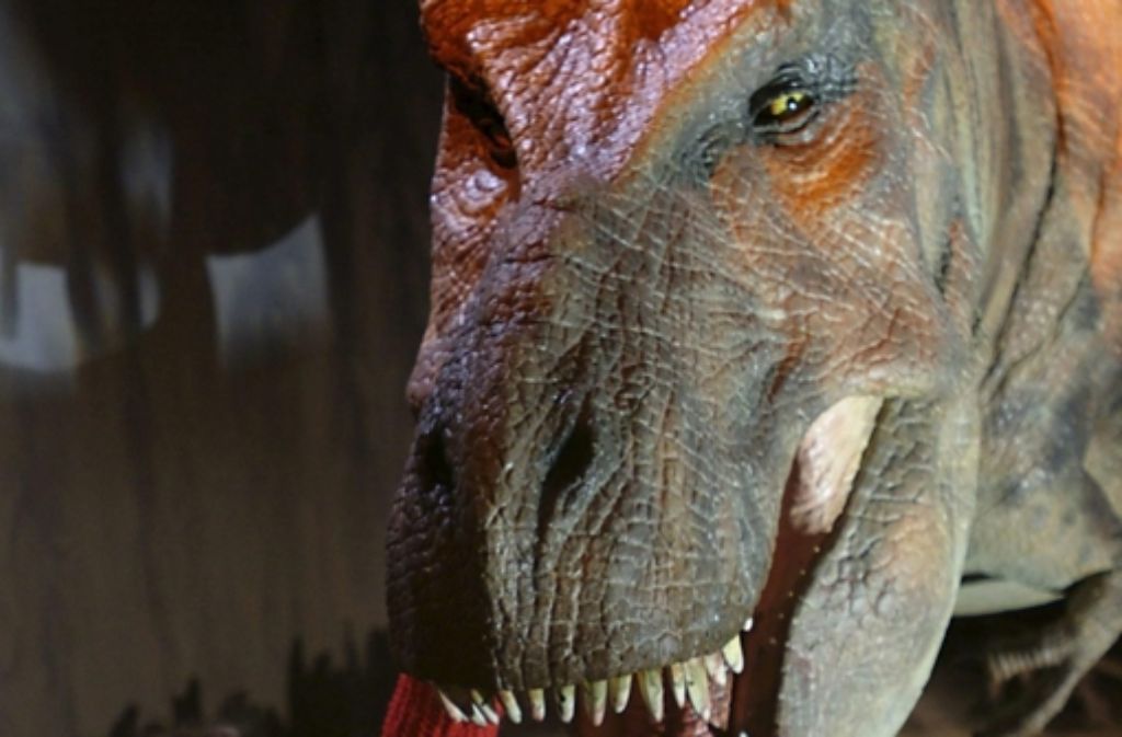 Nachbildung eines Tyrannosaurus Rex im  Natural History - mehr Bilder aus der Saurierwelt in unserer Fotogalerie.