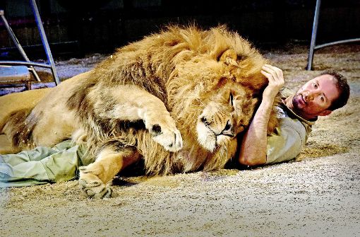 Dompteur Martin Lacey: Auch wenn der Löwe schmust, bleibt er   gefährlich. Foto: Wolfgang Reinhold