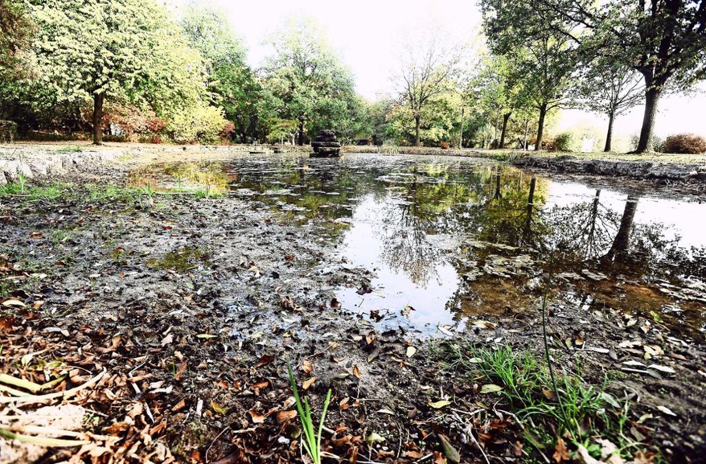 Der Teich im Affalterbacher Dorfwiesenpark ist undicht. Bevor er, wie geplant, mit neuen Pflanzen aufgehübscht wird, muss erst ergründet werden, wohin das Wasser entschwindet.