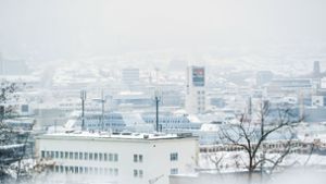Im Februar zeigte sich  Stuttgart unter einer Schneedecke. Foto: Lichtgut/Max Kovalenko