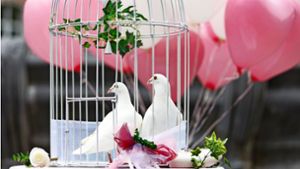 Weiße Tauben sollen dem Hochzeitspaar Glück bringen. Sie stehen für Frieden und Treue. Foto: imago images/Future Image/Christoph Hardt
