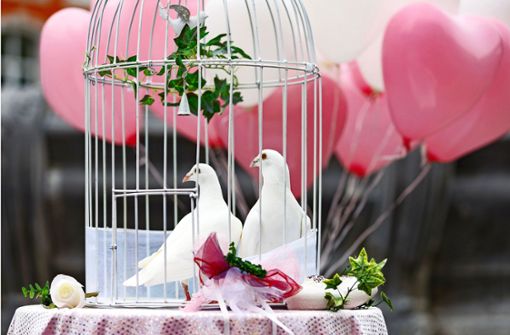 Weiße Tauben sollen dem Hochzeitspaar Glück bringen. Sie stehen für Frieden und Treue. Foto: imago images/Future Image/Christoph Hardt