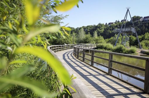 Das Naturschutzgebiet Zugwiesen bei Ludwigsburg gilt als Vorbild für ein neues Feuchtbiotop am Stuttgarter Neckarufer. Foto: /factum/Simon Granville