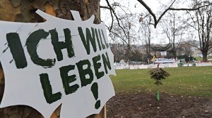 Fast 180 Bäume sollen im Stuttgarter Schlossgarten gefällt werden. Foto: dpa