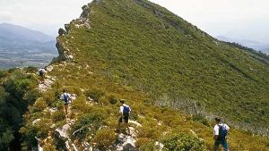 Korsika zu Fuß: Grandiose Landschaftseindrücke auf einsamen Pfaden. Foto: dpa