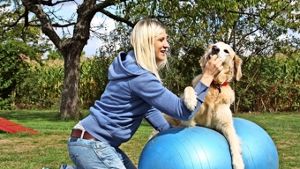 Tierphysiotherapeutin Kirsten Häusler hilft Retrieverhündin Cara auf den Gymnastikball. Ein Leckerli dient als Motivation. Foto: Waltraud Daniela Engel