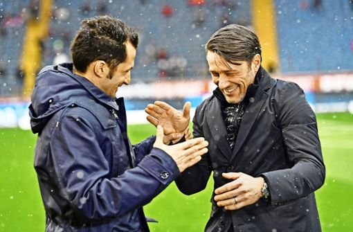 Alte Freunde: Bayern-Sportdirektor Hasan Salihamidzic (links) und der neue Bayern-Trainer Niko Kovac. Foto: dpa