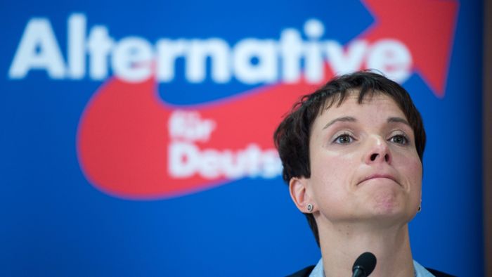 AfD-Chefin Petry attackiert Meuthen