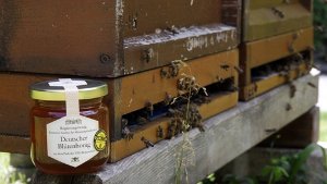 Wahlkampf - Wo der Honig fließt