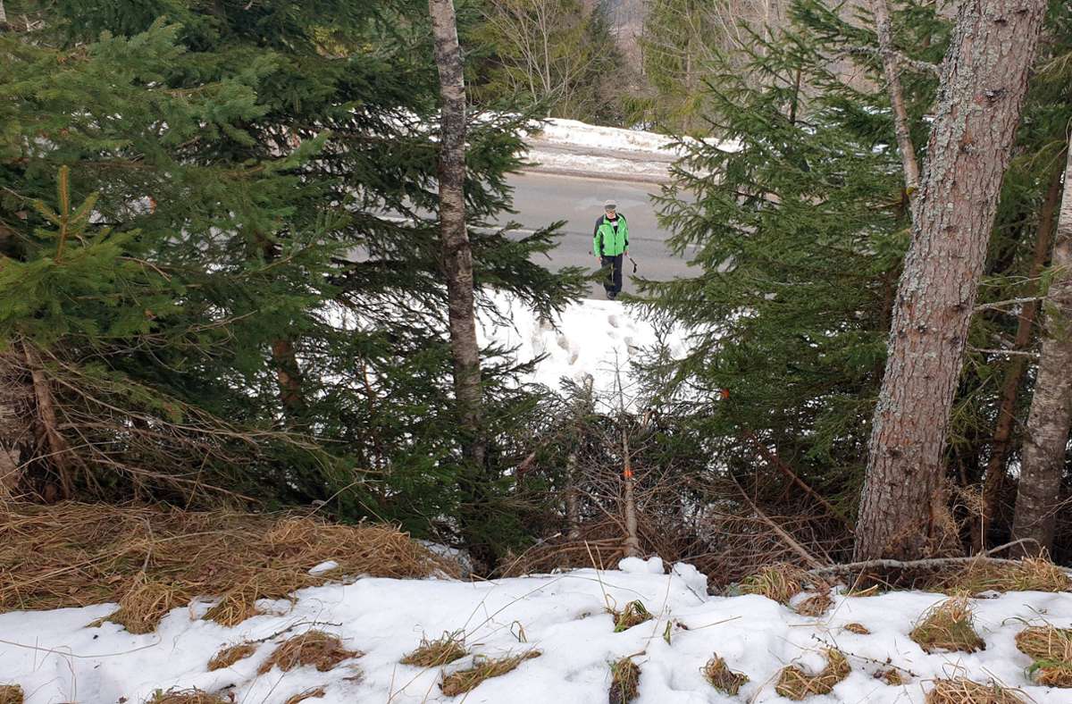 Das mit Skianzug, Helm und Skibrille ausgestattete Mädchen aus Niederösterreich rutschte rund 180 Meter über eine steile und zum Teil gefrorene Wiese. Foto: dpa/Roland Theny