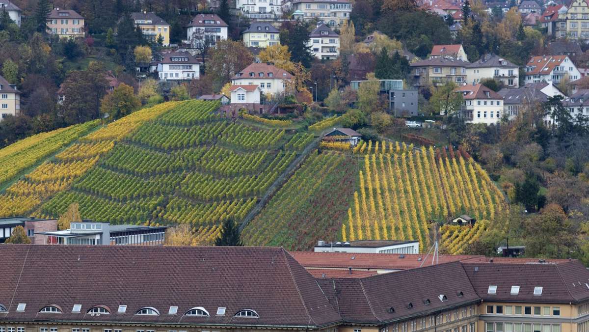 Stuttgart-Album zur Historie  des Weinbaus: Einst war  in Stuttgart  Wein billiger als Wasser