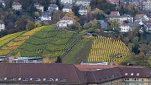 Einst war  in Stuttgart  Wein billiger als Wasser
